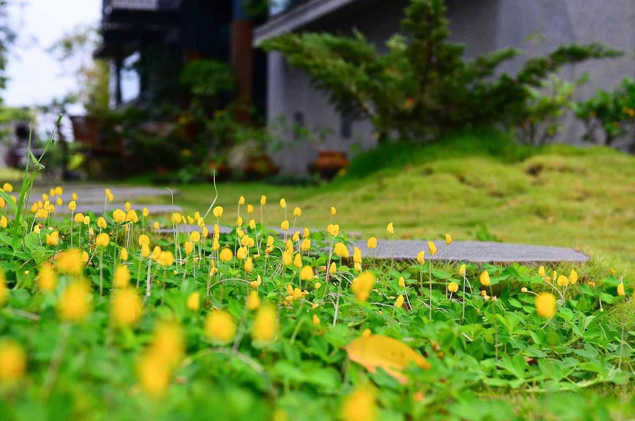 建築師 湧泉 泡湯 會館 Apartment Dongshan  Bagian luar foto